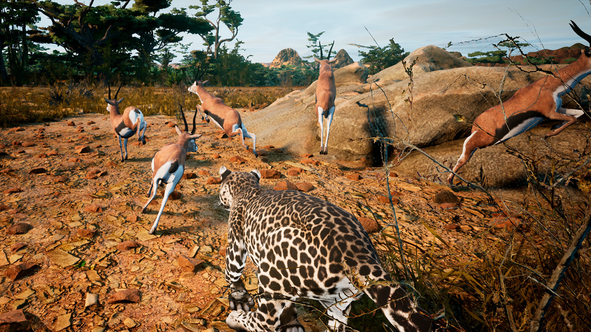 Animalia Screenshot 9