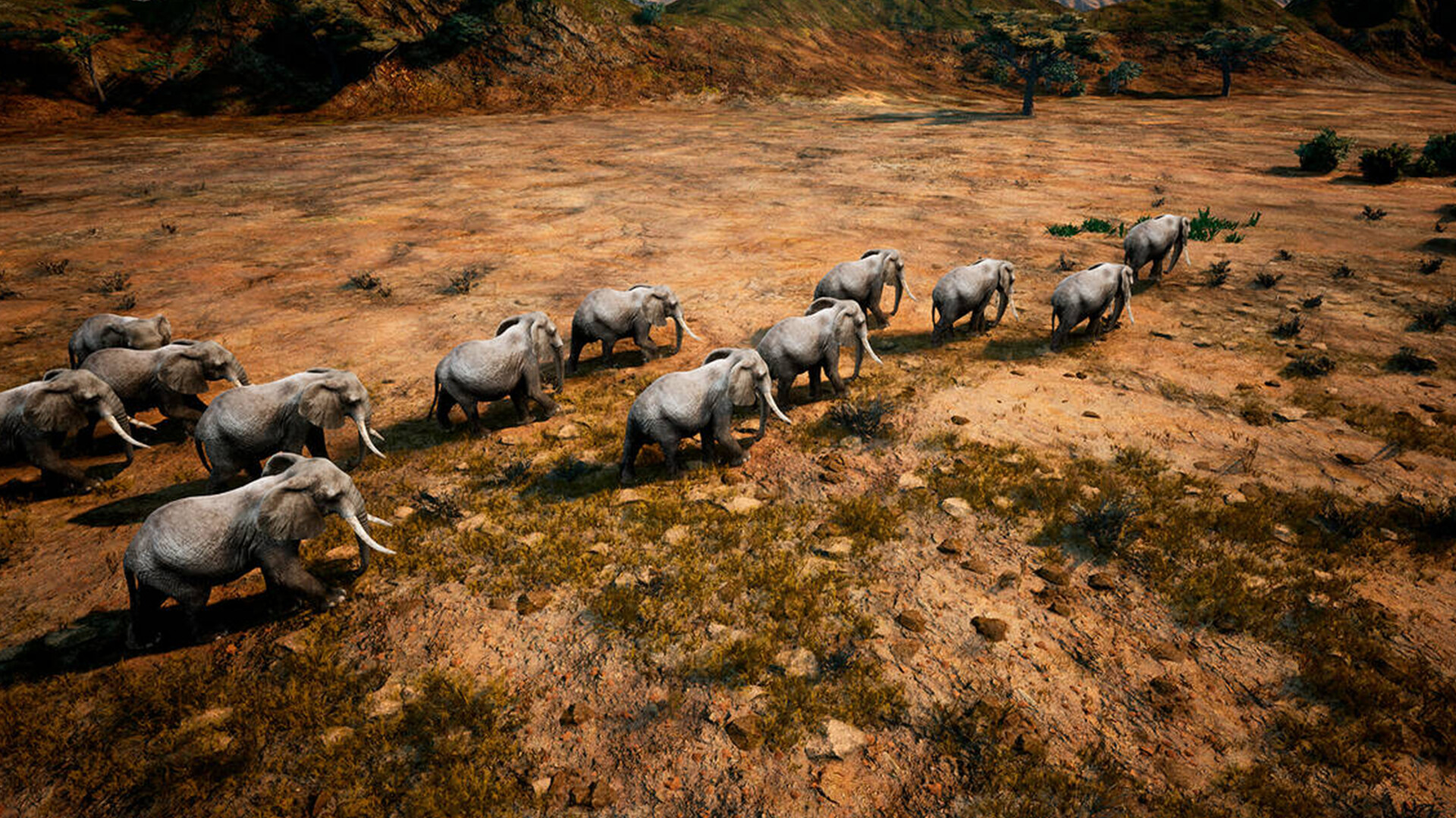 Animalia Screenshot 10