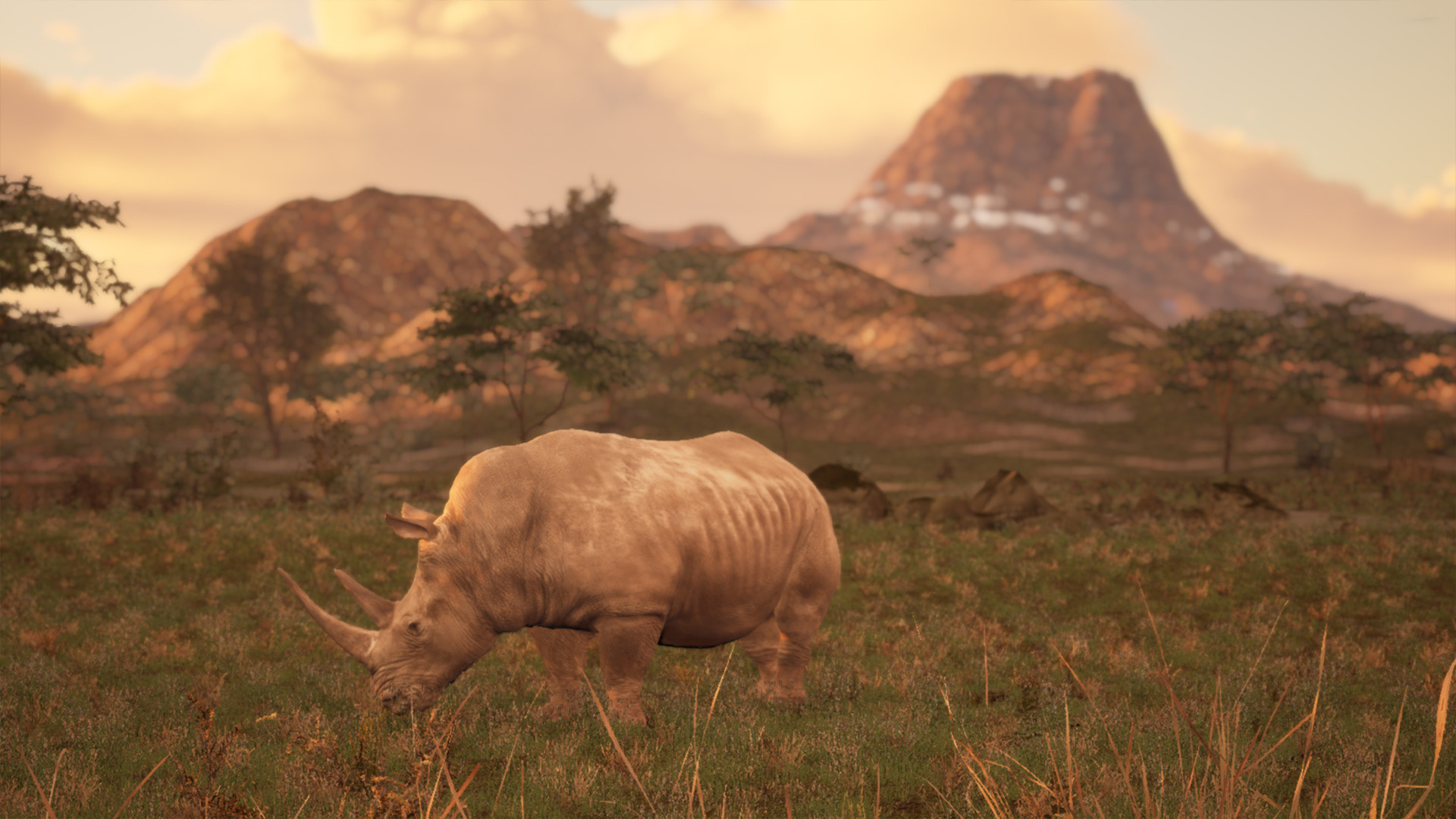 Animalia Screenshot 12