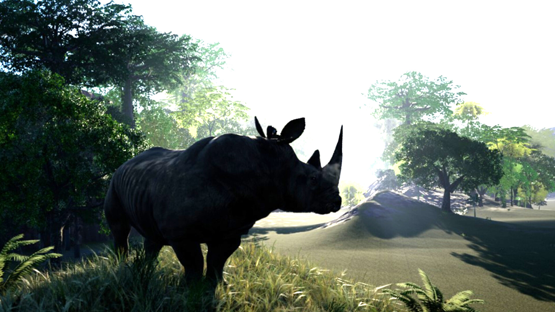 Animalia Screenshot 15