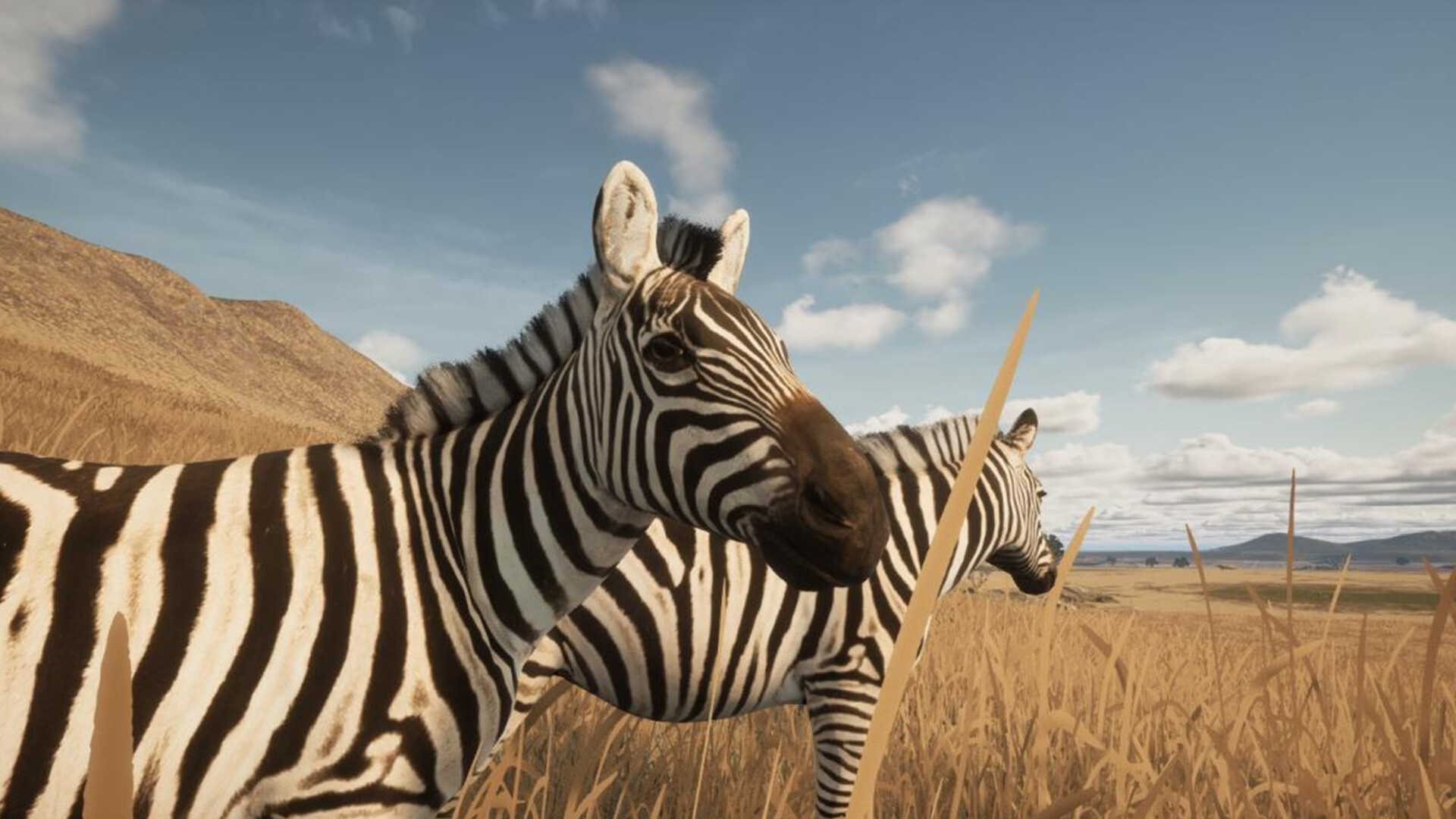 Animalia Screenshot 17