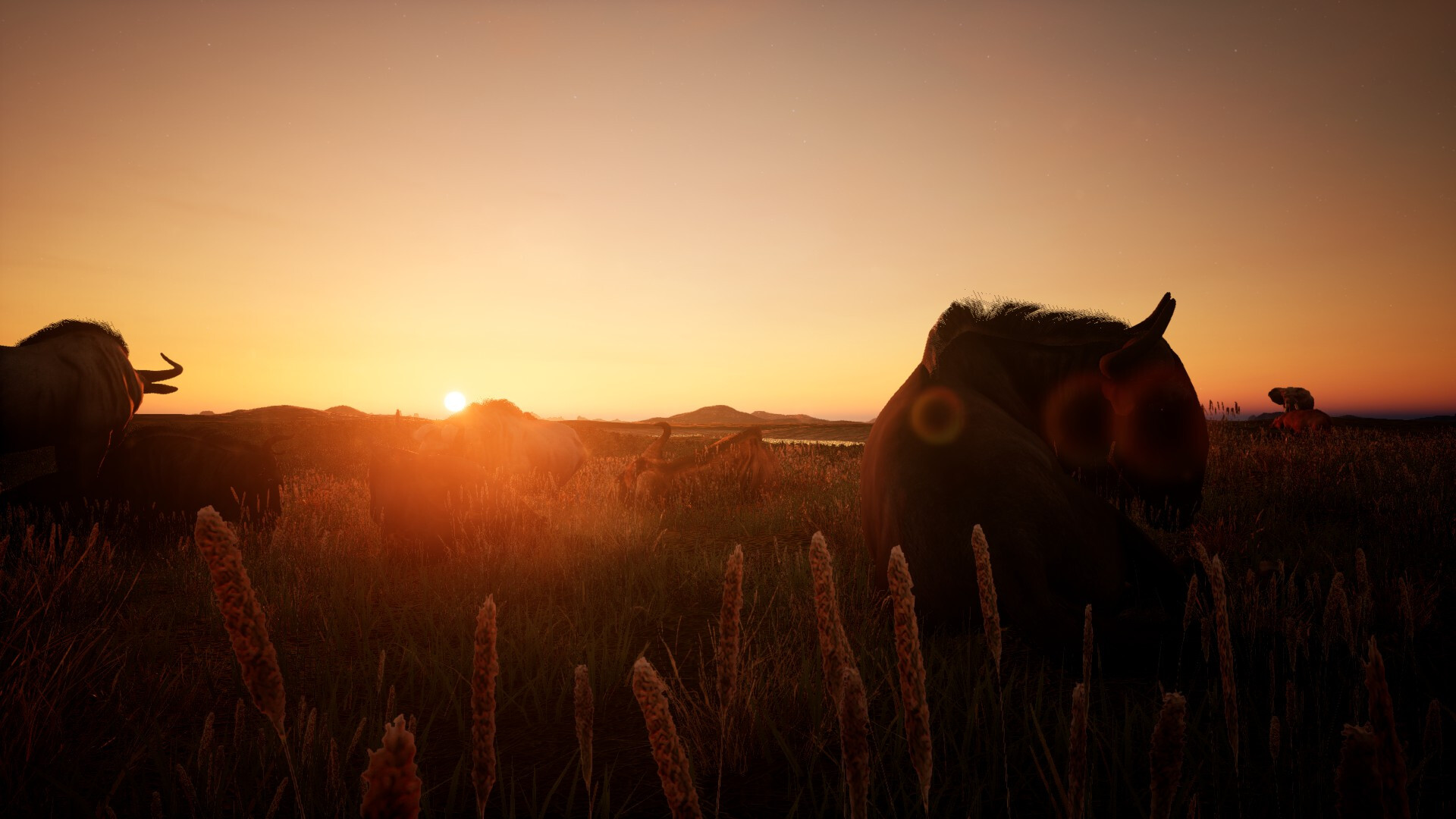 Animalia Screenshot 18