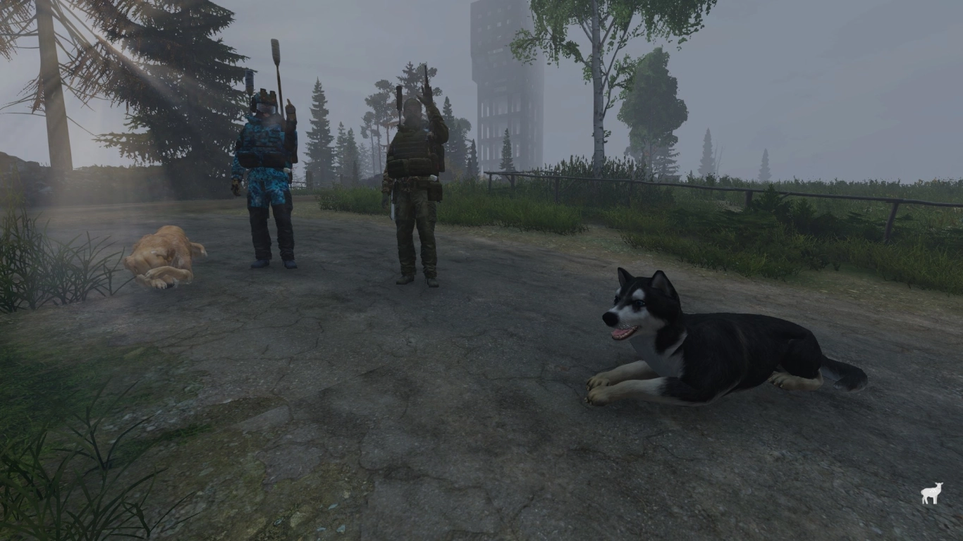 Begleiter Hund in DayZ