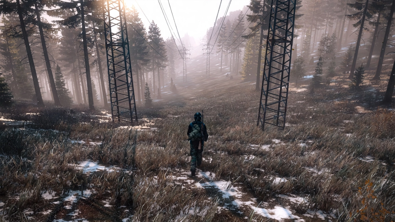 Winterliche Texturen in DayZ