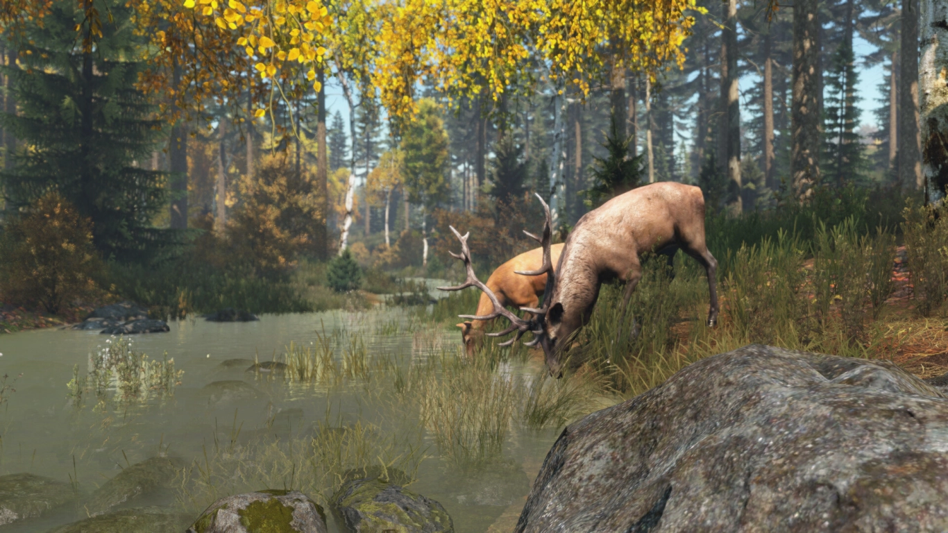 Jagt på dyr i DayZ