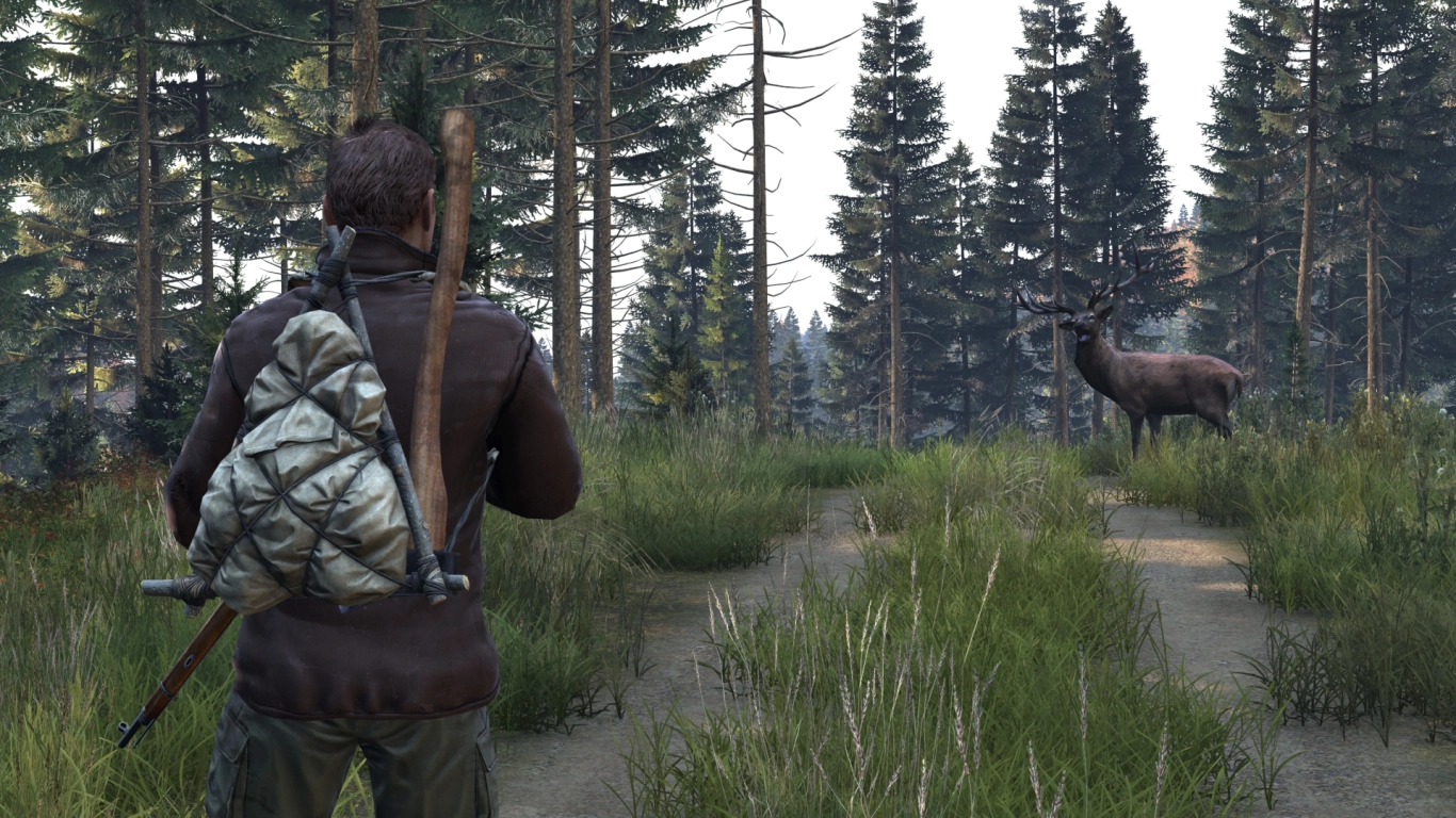 Genezingsmethoden in DayZ