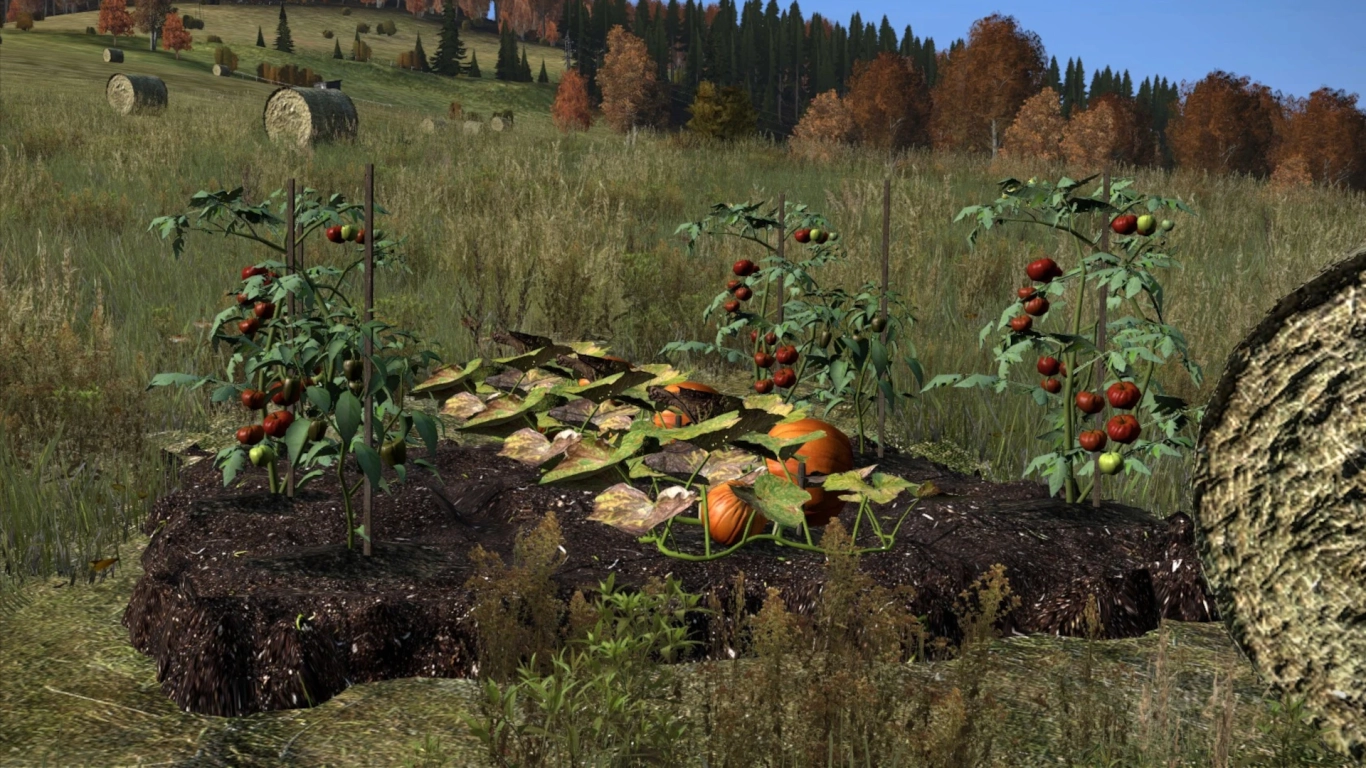 Guida al giardinaggio in DayZ
