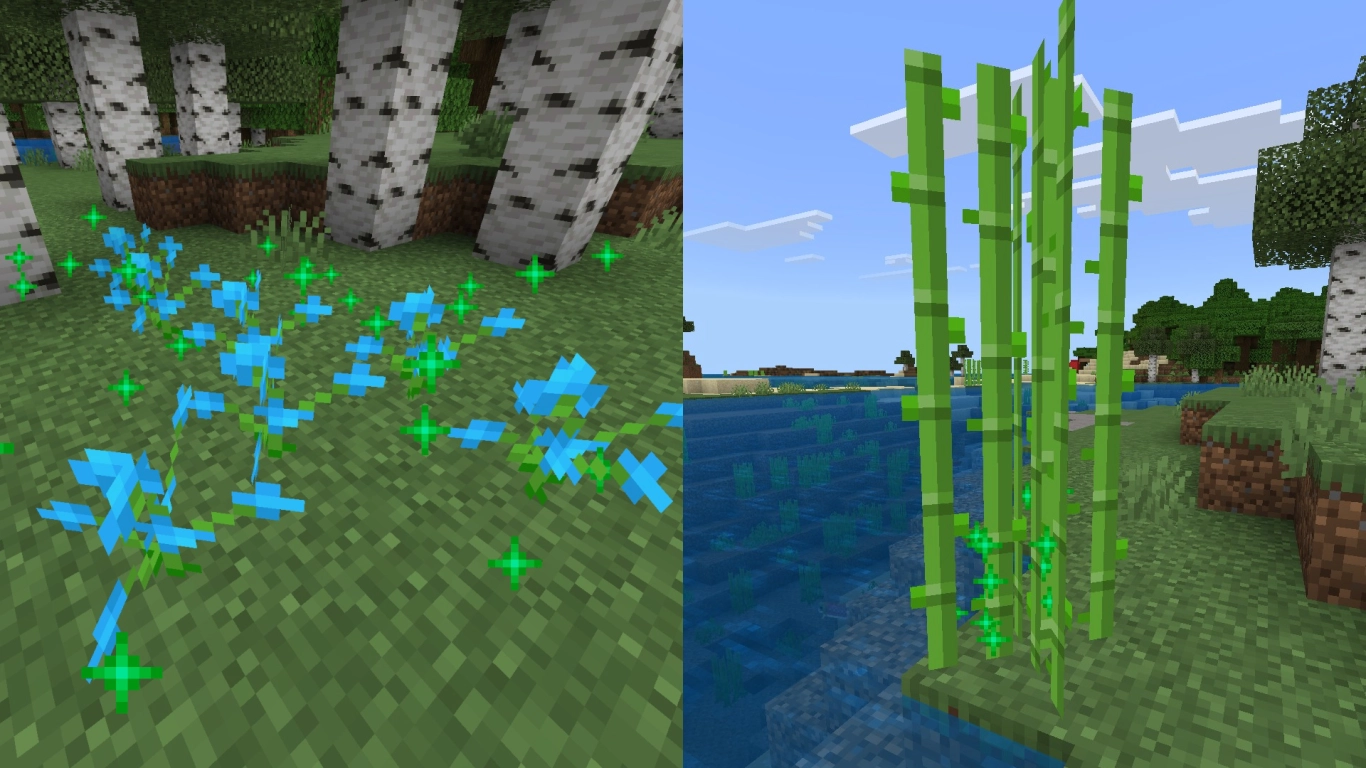 Using bone meal on flowers and sugar cane in Minecraft Bedrock