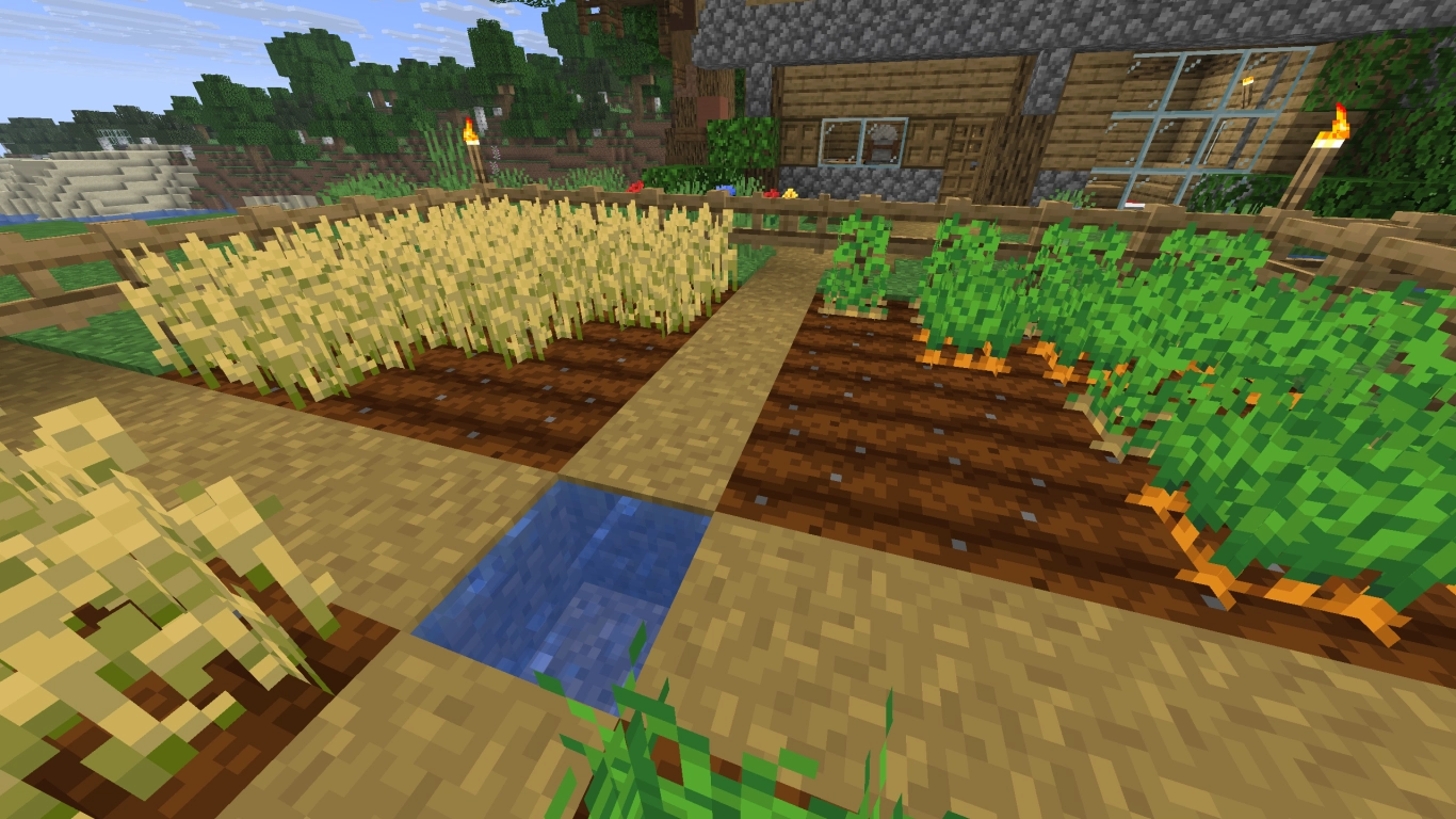 Minecraft crops: wheat, potatoes, carrots and beetroot in a field