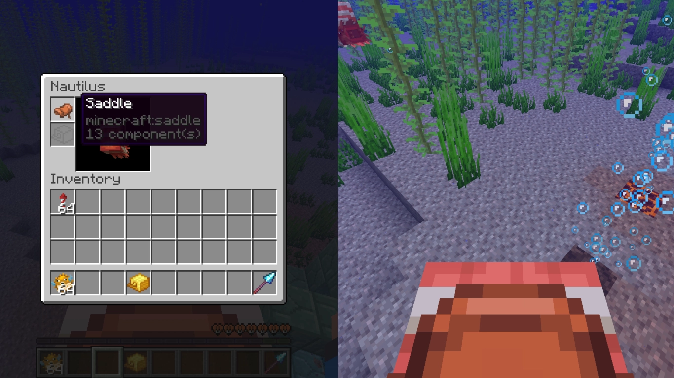 Nautilus als rijdier onder water