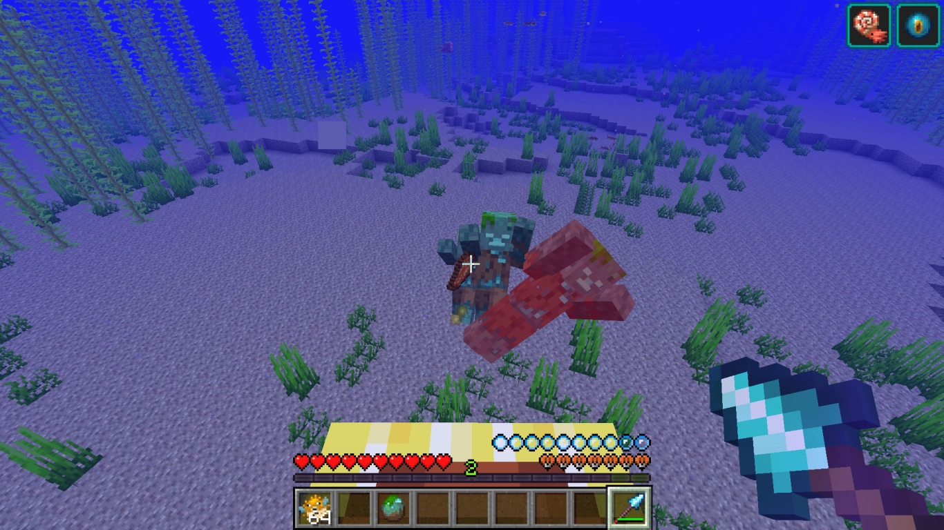 Onderwatergevecht met speer en nautilus