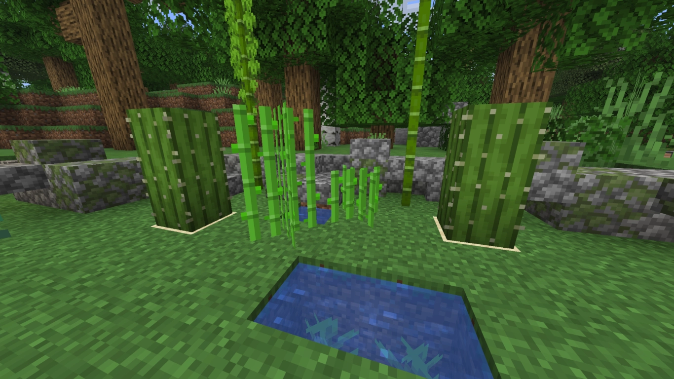 Canna da zucchero, bambù, cactus e alghe: coltivazione in Minecraft