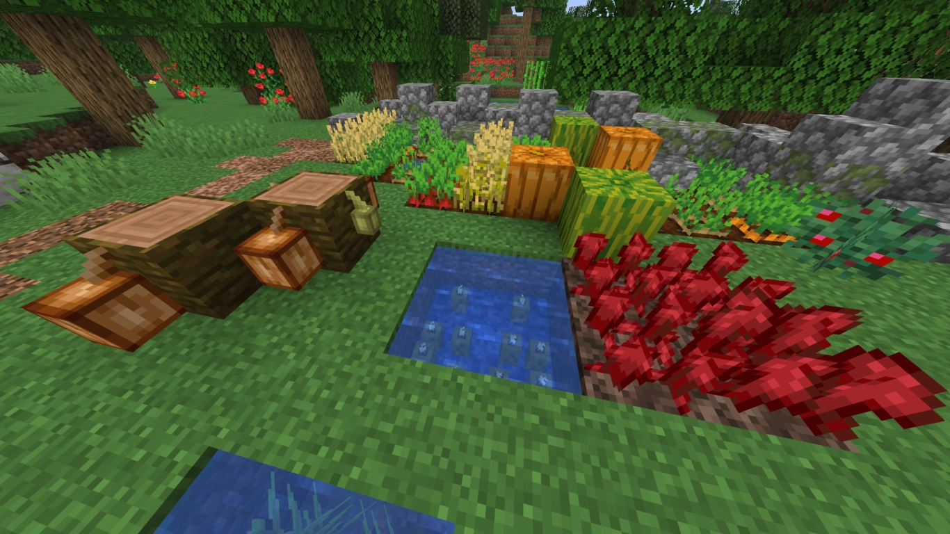 Colture esotiche: fave di cacao, verruche del Nether e cetrioli di mare in Minecraft