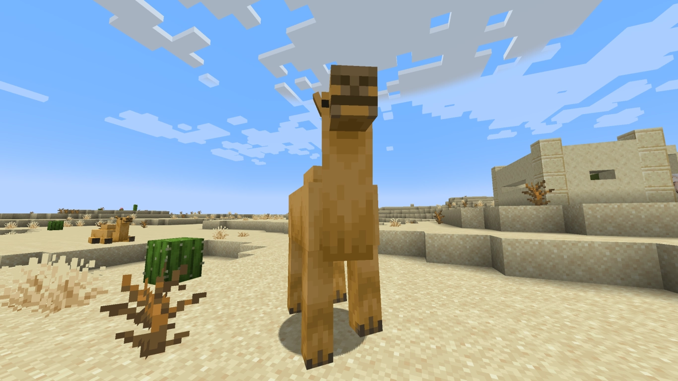 Kameler i Minecraft