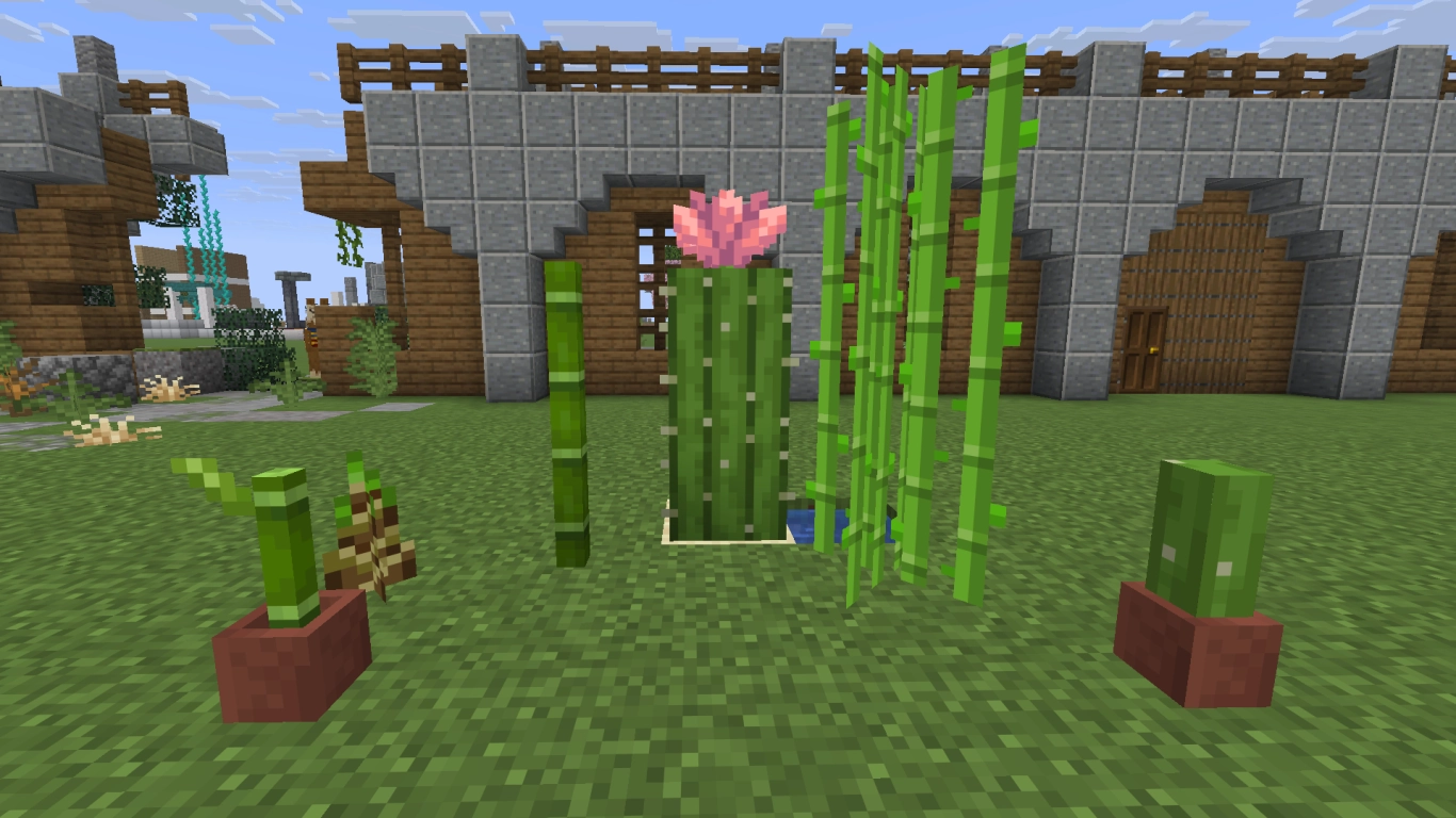 Kaktus, bambus og sukkerrør i Minecraft som dekor ved vann og i ørkenen
