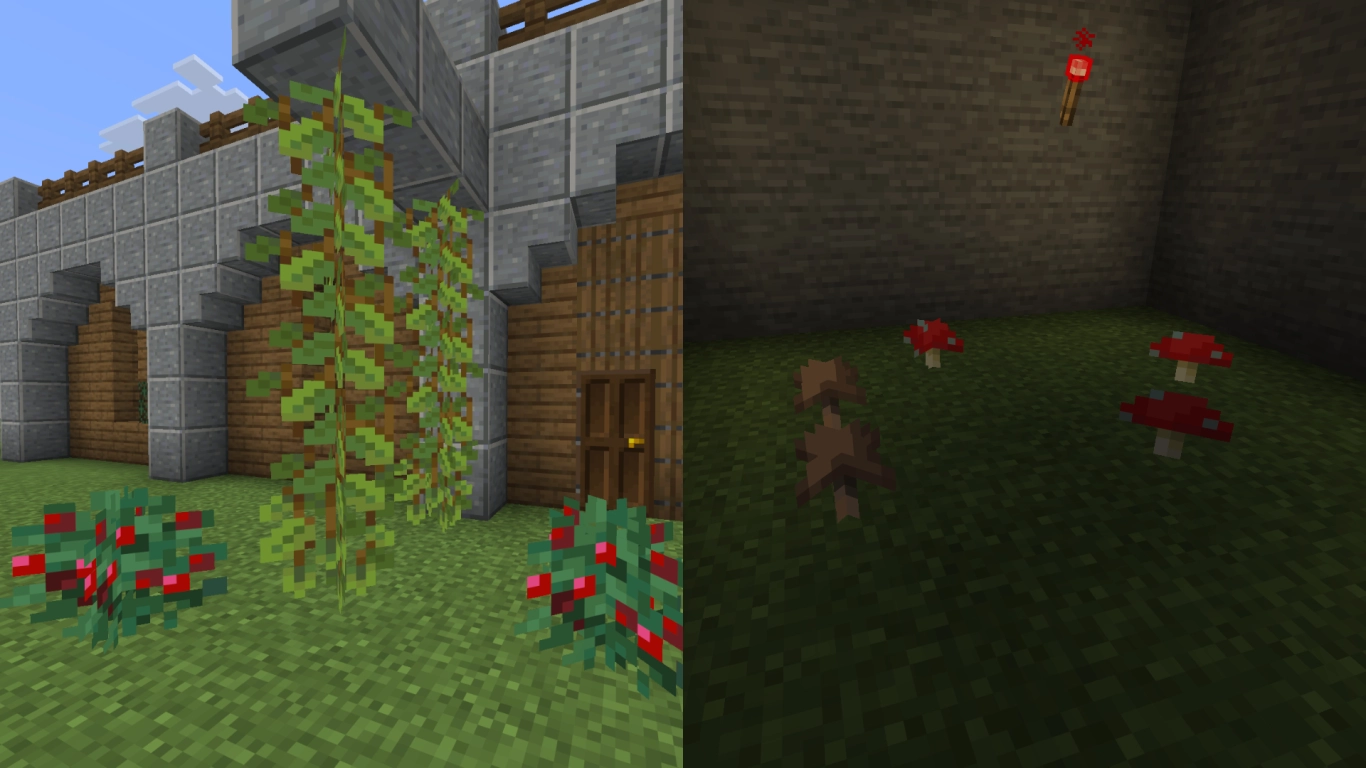 Søtbær, glødebær og sopp i Minecraft som spiselige og dekorative planter
