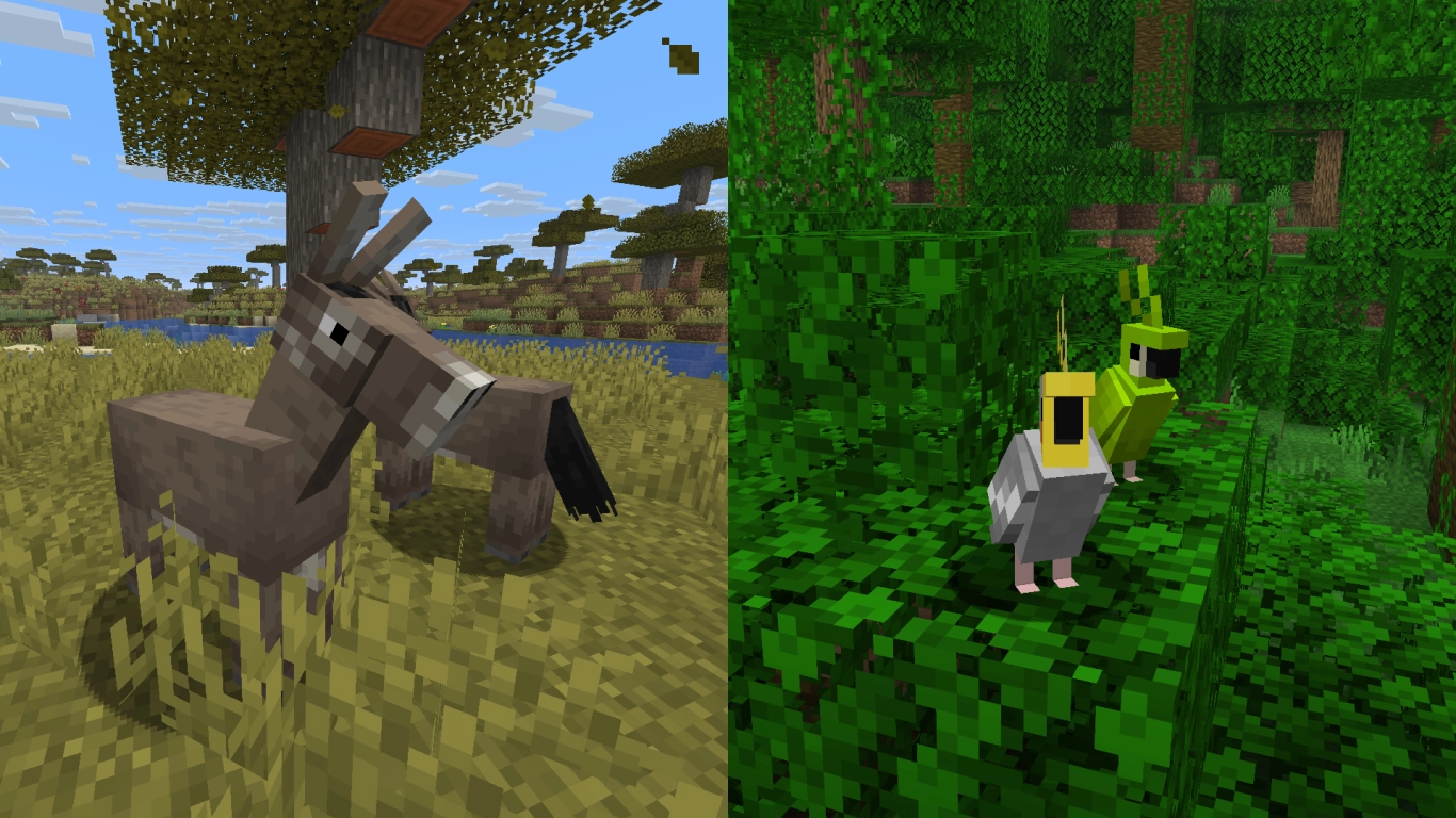 Tier C: animali addomesticabili in Minecraft - asini e pappagalli