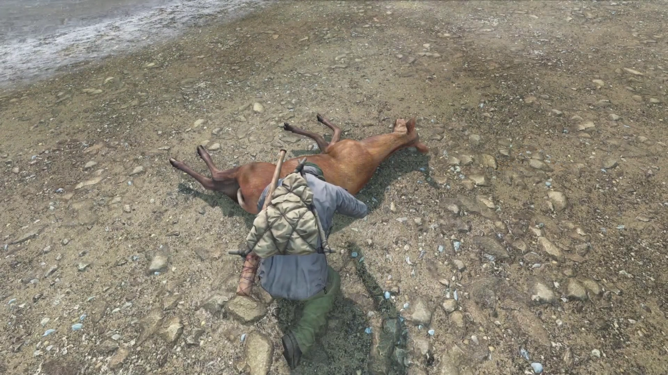 Hunting animals in DayZ