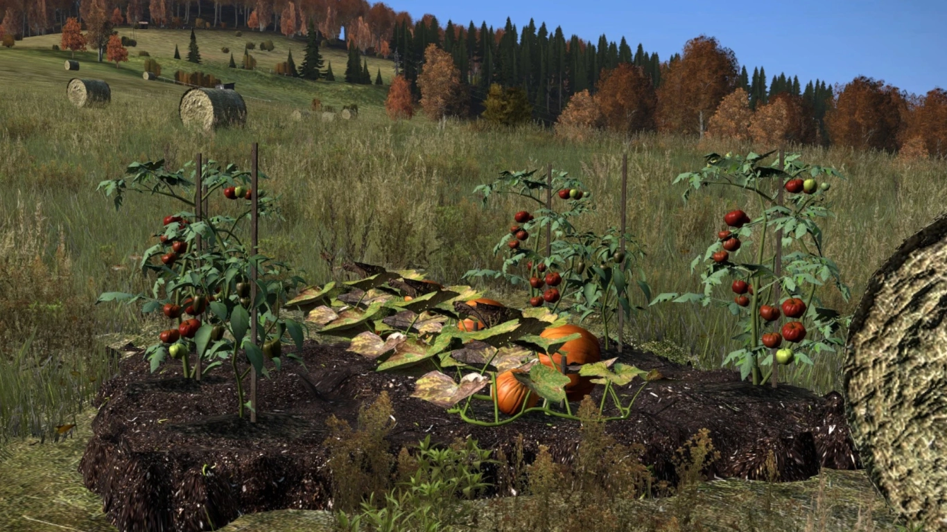Gathering fruits in DayZ