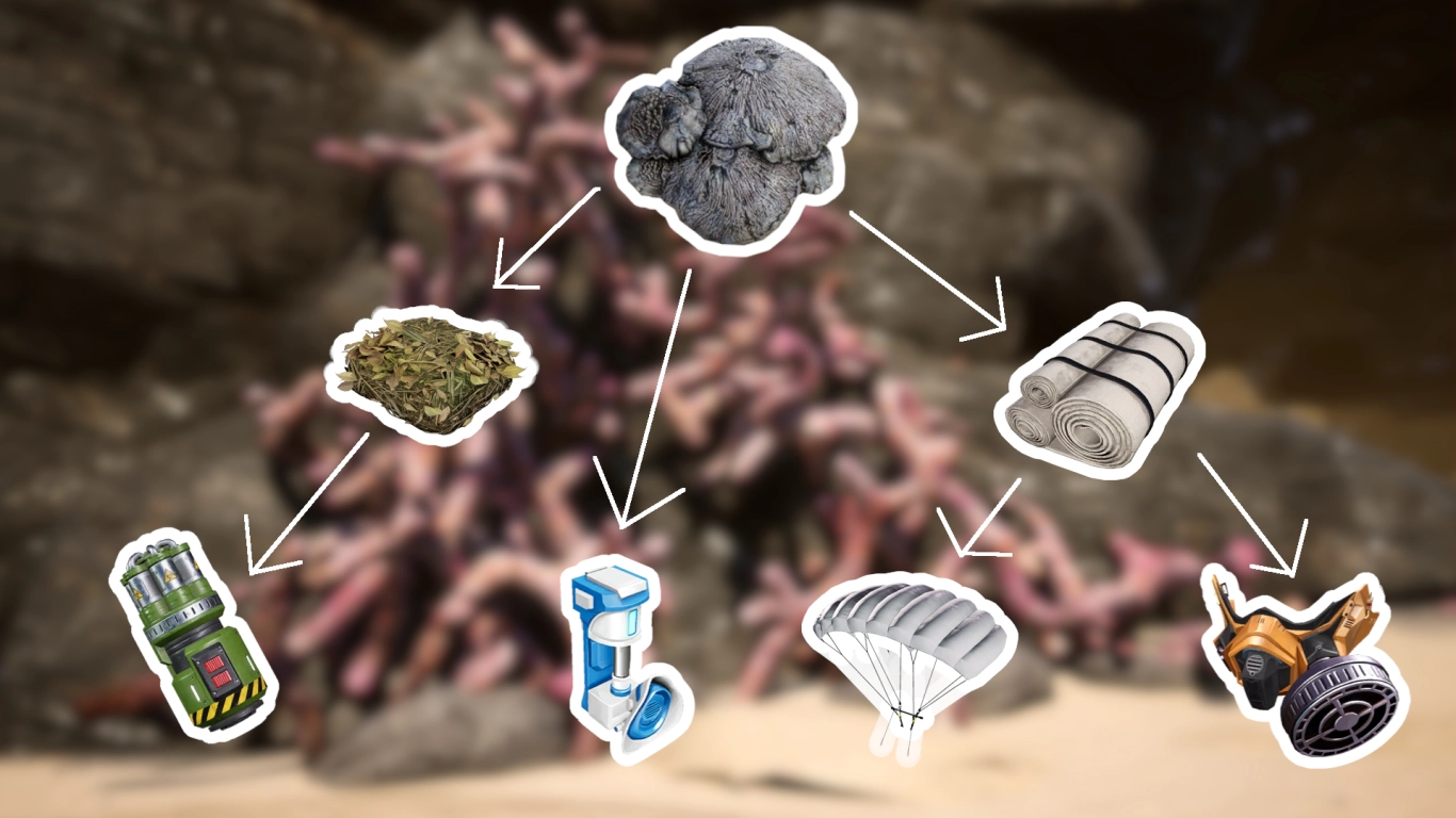 Satisfactory – badania grzybni w MAM: wytwarzanie tkaniny, spadochron i maska przeciwgazowa