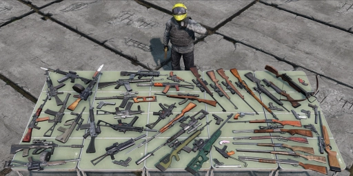 Die besten Schusswaffen in DayZ: Ein umfassender Guide