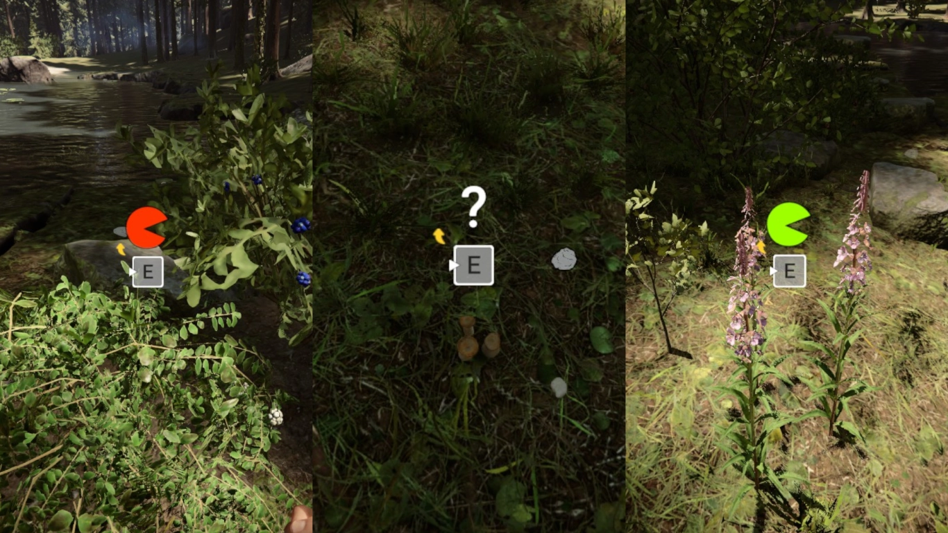 Collecting berries, mushrooms, and herbs in Sons of the Forest