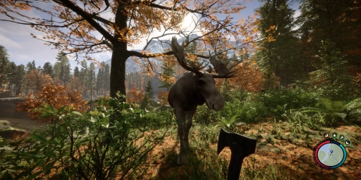 Sons of the Forest: Nutrition Guide to Hunting, Fishing & Foraging