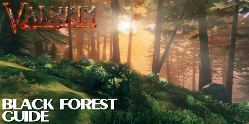 Valheim Foresta Nera: guida a rame, Haldor e l’Antico