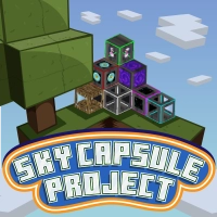 Sky Capsule Project