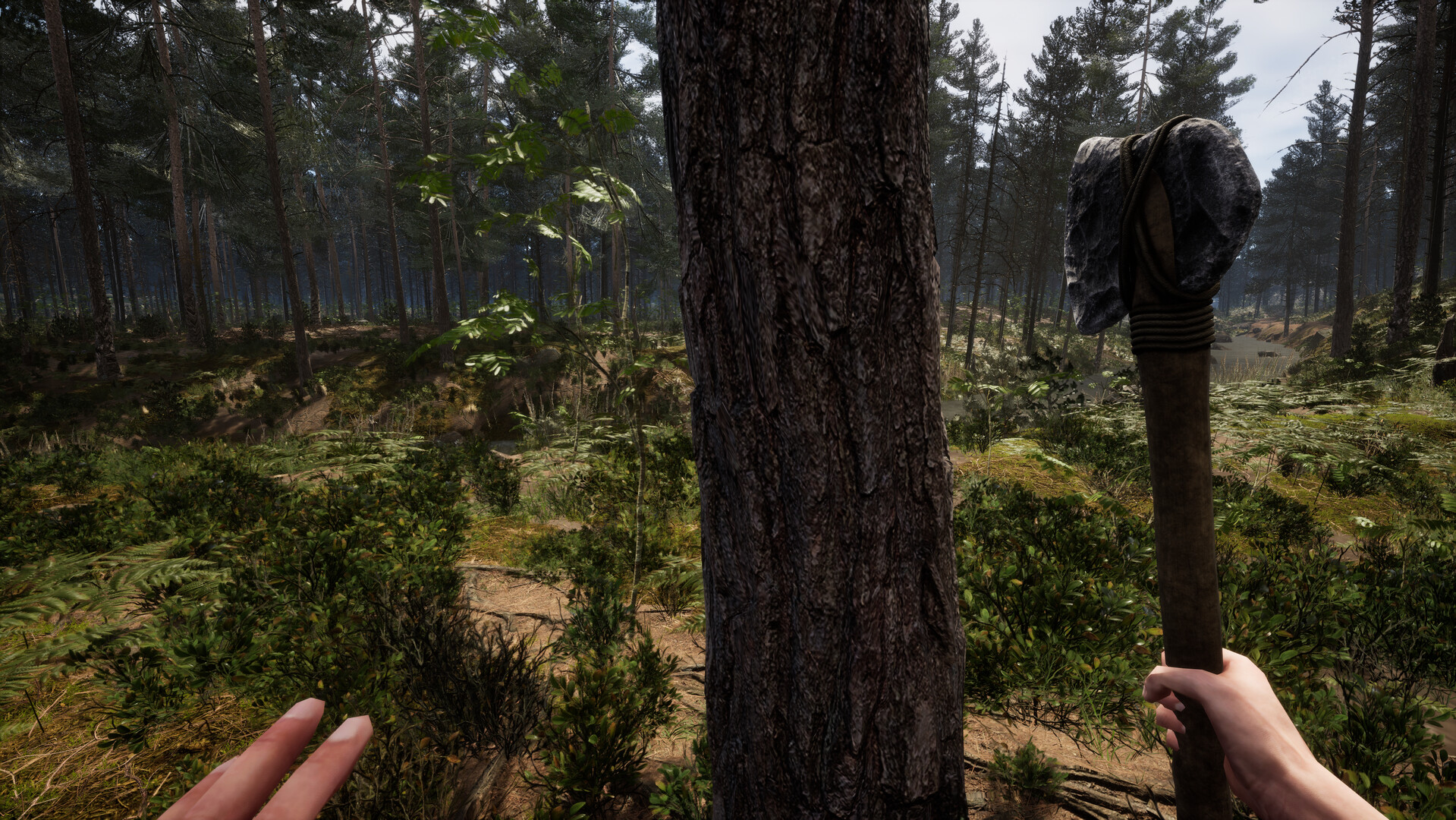 Renown Screenshot 13