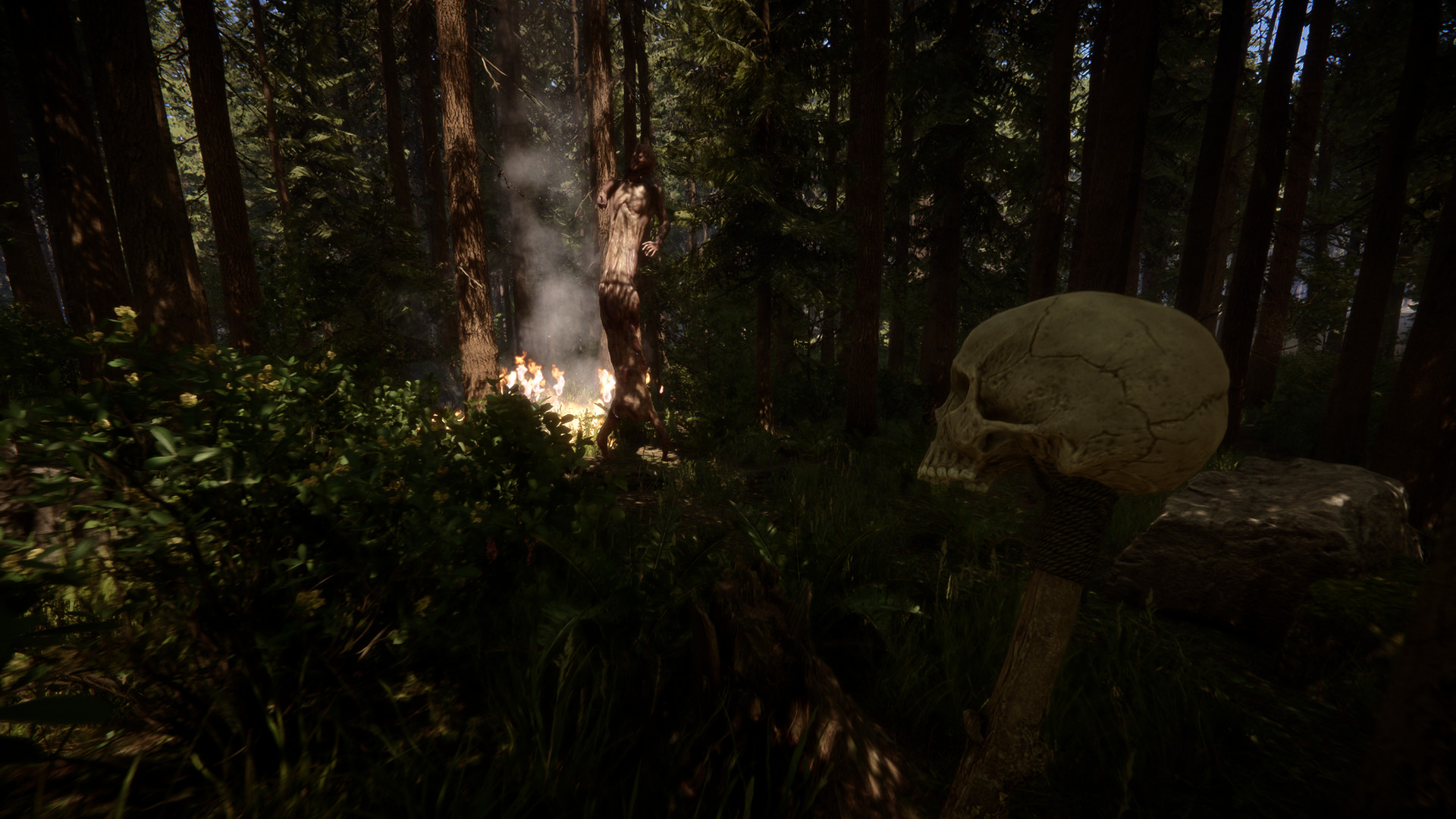 Sons Of The Forest Screenshot 11