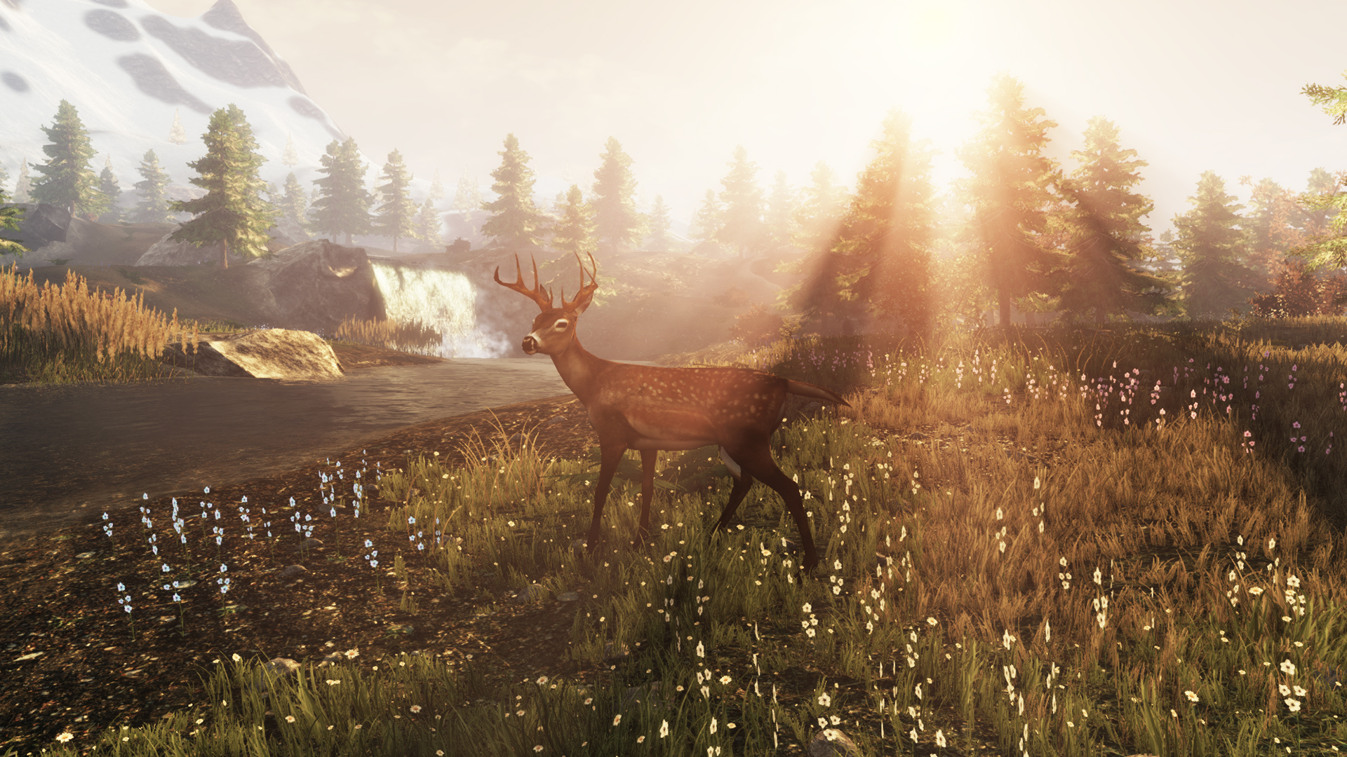 Subsistence Screenshot 16